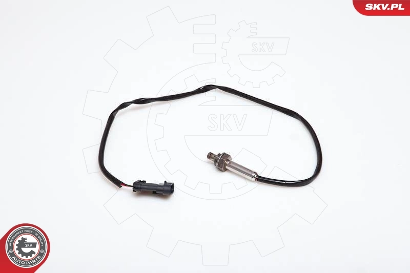 Oxygen Sensor
